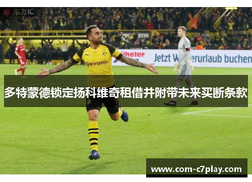 多特蒙德锁定扬科维奇租借并附带未来买断条款