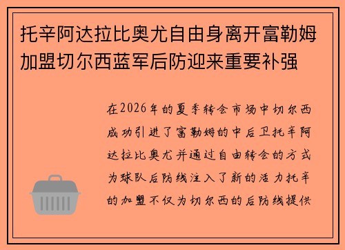 托辛阿达拉比奥尤自由身离开富勒姆加盟切尔西蓝军后防迎来重要补强 托辛阿达拉比奥尤自由身离开富勒姆加盟切尔西蓝军后防迎来重要补强